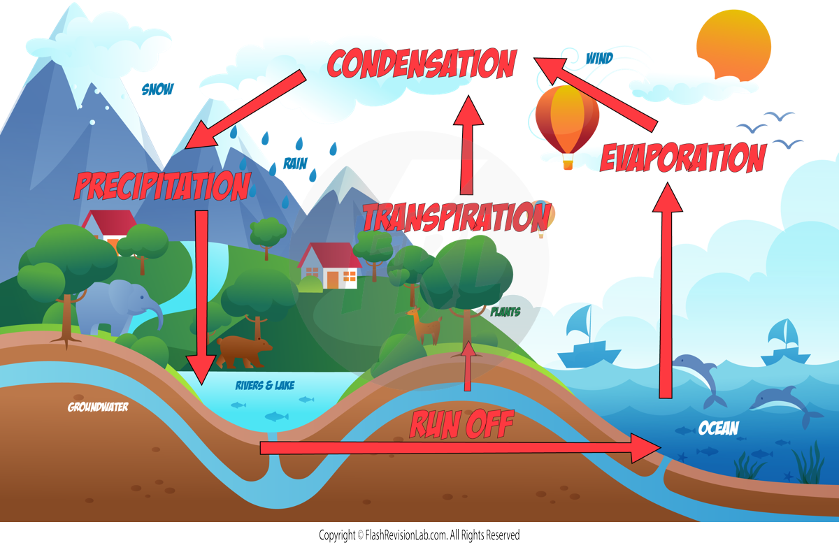 Water Cycle